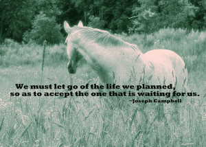 In The Meadow Quote Photograph