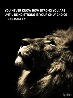 until being strong is your only choice. -Bob Marley #quotesBlack Lion ...