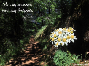 Hiking Quotes: Wisdom for the Trail