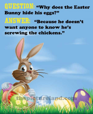 Funny Easter Bunny Pictures Inspirational Quotes Motivational