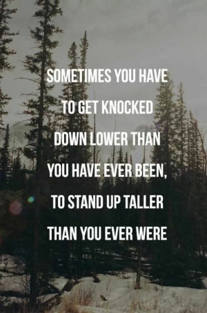 Knocked down lower and harder, but will stand up taller and stronger ...