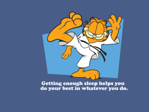 Garfield Wallpaper 1024 x 768