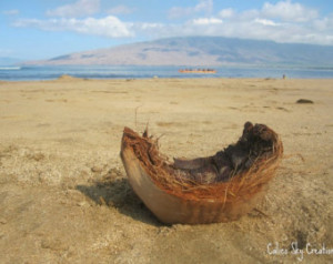 Beach photography, Hawaiian shoreli ne photograph, Maui landscape ...