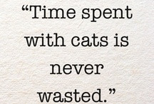 Cat Quotes / by Foothills Animal Rescue (FAR) CATS