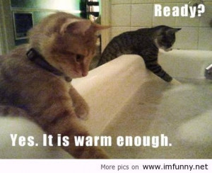 funny animals with sayings funny animals with sayings funny animals ...