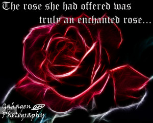 Photograph Beauty and the Beast rose quote by Ben Gahagen on 500px