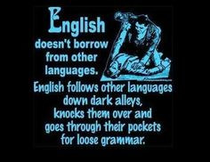 Smart Alec Comments and Quotes