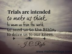 ... world, to send us to the Bible, to drive us to our knees.