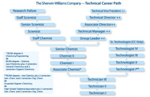Variations of the Technical Management Career Ladder exist across ...