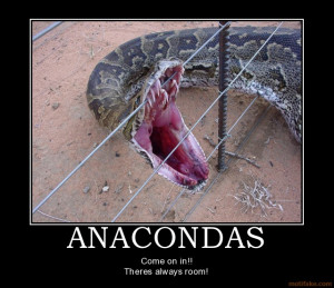 anacondas snake eat come on in anaconda lol scary funny fence
