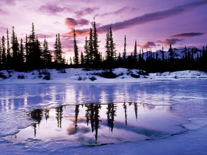 Tag: Winter Desktop Wallpapers, Backgrounds, Photos, Pictures,and ...