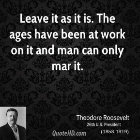theodore-roosevelt-president-leave-it-as-it-is-the-ages-have-been-at ...