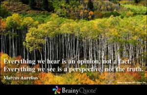 Different Perspective quote #2