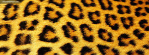 Nice Leopard Fur Picture