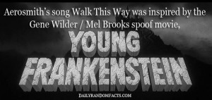 young-frankenstein-movie fact