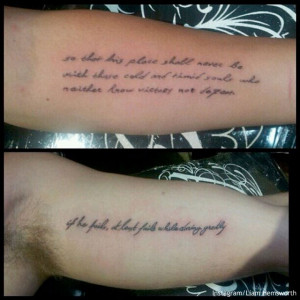 ... quotes from a famous 1910 speech by former US president Theodore