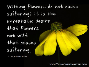 Wilting Flowers and Unrealistic Desires