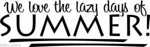 We Love Summer Lazy Days Wall Vinyl Sticker Decal Decor quote Cute ...
