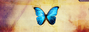 Blue Butterfly Facebook Cover Preview