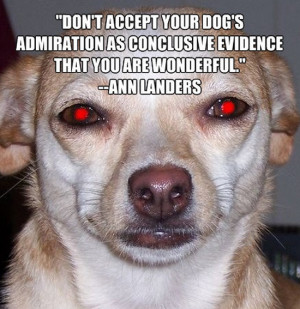 ... you are screwed funny exam students quotes pictures tag pictures