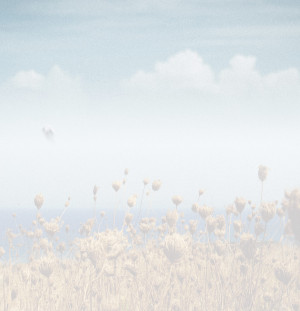 Privacy Policy CTA Office Locations & Landmarks