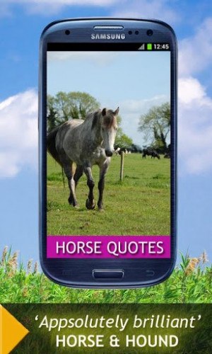 Ver maior - captura de tela Horse Quotes And Sayings para Android