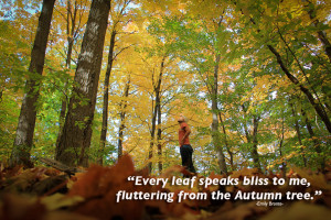 leaf speaks bliss, fluttering from the Autumn trees.