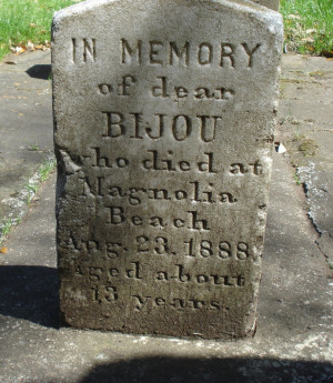 In Memory of Bijou, My Dog and My Best Friend!