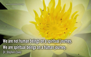 we are not human beings on a spiritual journey we are spiritual beings ...