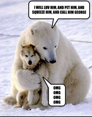 Animal Humor dog & bear funny