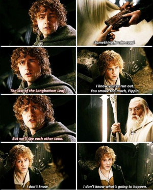 Merry and Pippin (and Gandalf)