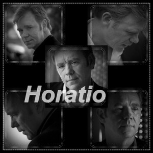 Related Pictures csi miami horatio quotes funny comic vine