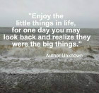 Enjoy the little things in life, for one day you may look back and ...