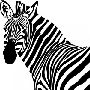 zebra head cartoon colouring pages