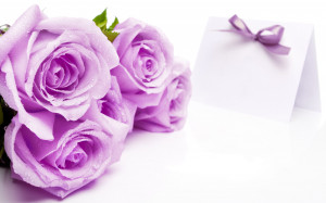 Purple Rose Happy Wishes Widescreen