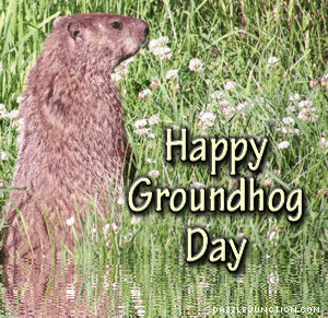 Happy groundhog day water reflection graphic