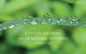 ... You Truly Love Nature You Will Find Beauty Everywhere - Beauty Quote