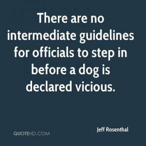 Guidelines For Officials To Step In Before A Dog Is Declared Vicious ...