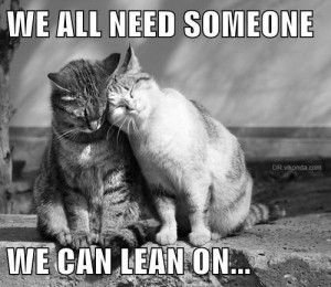 Lean on me cat