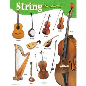 String Instruments Educational Poster. Again, these are common members ...