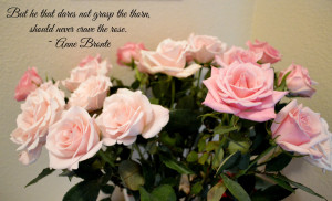 Rose Quotes About Life grasp-the-rose-quote