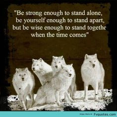 ... Leader Quote Motivational Wolf Animal You Quote - | Favorite Quotes