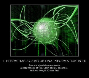 Funny photos funny DNA poster data