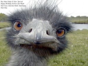 Very Funny Birthday Quotes