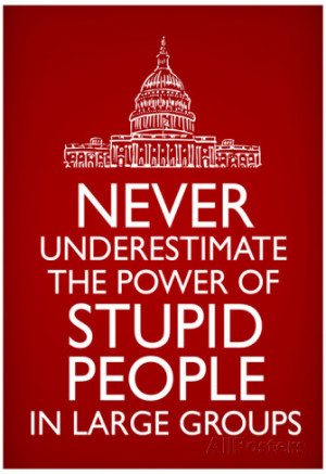 Never Underestimate Stupid People in Large Groups Poster Poster