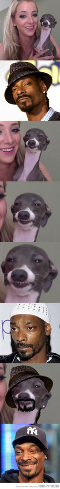 Funny photos funny Snoop Dogg dog costume