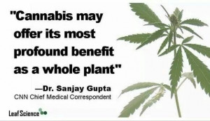 Quote: Dr. Sanjay Gupta. Fact!