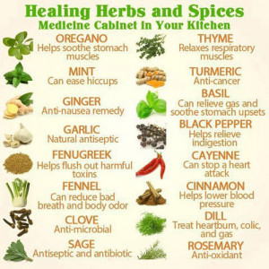 HERBS natural medicine natural remedies homeopathic remedies