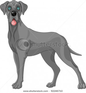 of a great dane dog with a funny look on his face in a vector clip art ...