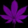 Weed Quotes - Exotic Marijuana MySpace Layout Preview